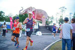 BIB: 
                            <button type="button" onclick="openModal(26551640)" class="btn btn-primary btn-sm float-right btn-popup" data-toggle="modal" data-target=".modal-high-quality">
                        <i class="fas fa-shopping-cart"></i> Add to Cart
                    </button>
                                            <button type="button" onclick="isThisMe(26551640, true)" class="btn btn-success btn-sm float-right btn-popup btn-isme hidden" data-toggle="tooltip" data-placement="bottom" title="นี่คือรูปของคุณใช่ไหม คลิกที่นี่เพื่อเอาเข้าอัลบั้ม">
                        <i class="fas fa-plus"></i> Add to album
                    </button>
                    <button type="button" onclick="isThisMe(26551640, false)" class="btn btn-warning btn-sm float-right btn-popup btn-isnotme hidden">
                        <i class="fas fa-ban"></i> Remove from album
                    </button>